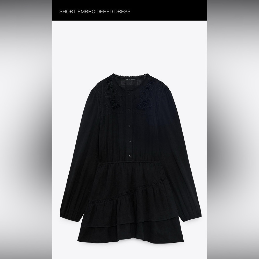 Zara Black Embroidered Dress